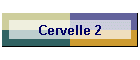 Cervelle 2